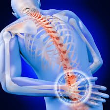 Orthopedics